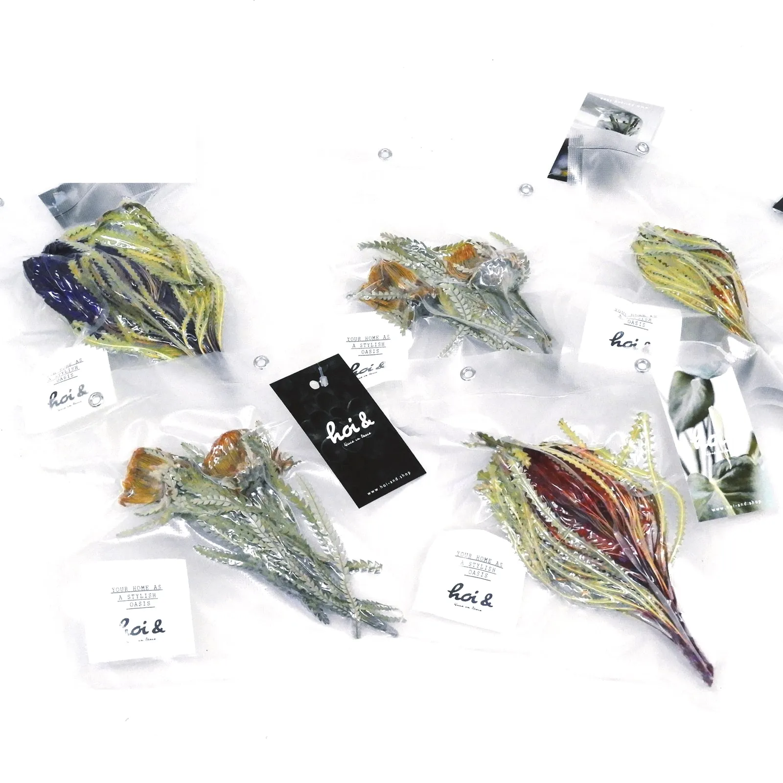 ドライフラワー 真空パック（DRY FLOWER PACK）